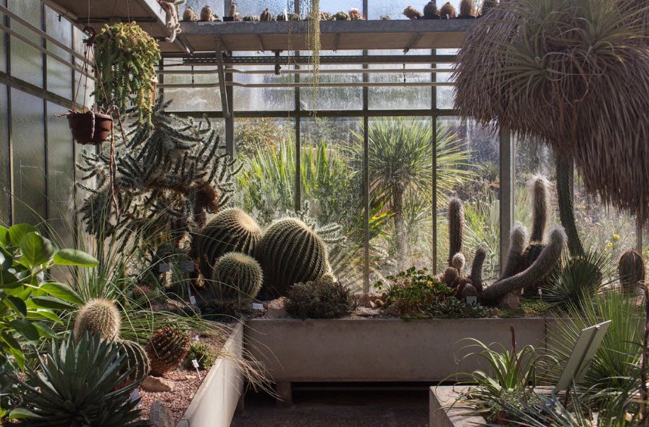 Botanical Garden of TU Darmstadt, Darmstadt, Germany, Germany